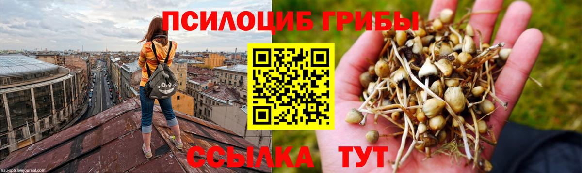 Всеволожск  Галлюциногенные грибы GOLDEN TEACHER  Вход с VPN 